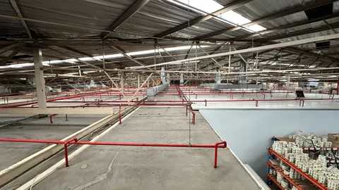 16 Endean Street, City Deep